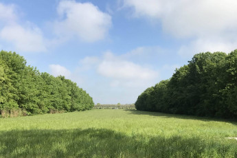 adriabella dune agriturismo esterni 10 1800x1200