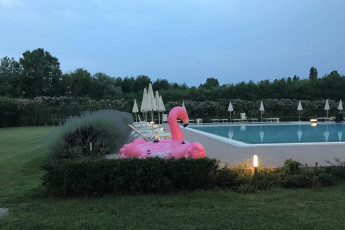 adriabella dune agriturismo esterni piscina 08 fenicottero rosa 1800x1200