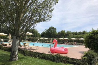 adriabella dune agriturismo esterni piscina 13 fenicottero rosa 1800x1200