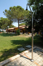 adriabella spighe esterni giardino interno