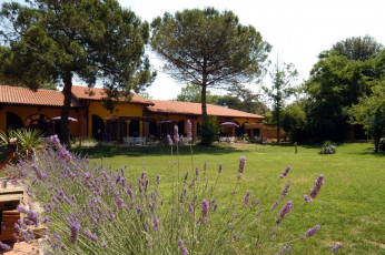 adriabella spighe esterni giardino