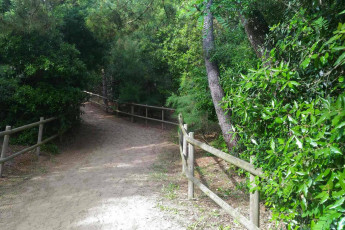 adriabella dune agriturismo esterni 13 1800x1200