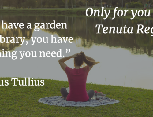 Special offer 10% Tenuta Regina 25th May 16th June