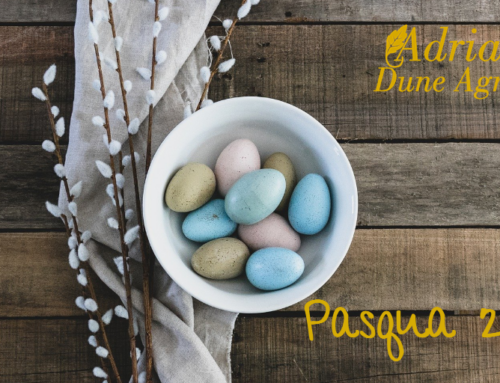 Menù di Pasqua 17 aprile 2022
