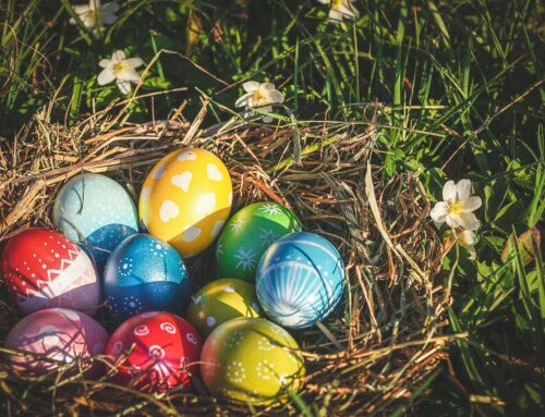 Pasqua 2023 in agriturismo, scopri l’offerta