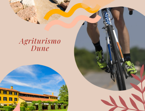 Veneto Gravel 21-22 Aprile 2023 la nostra offerta