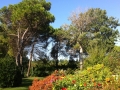 adriabella villa casello esterni giardino 05 1800x1200