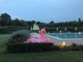 adriabella dune agriturismo esterni piscina 08 fenicottero rosa 1800x1200