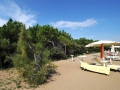 adriabella dune agriturismo esterni spiaggia 05 1800x1200